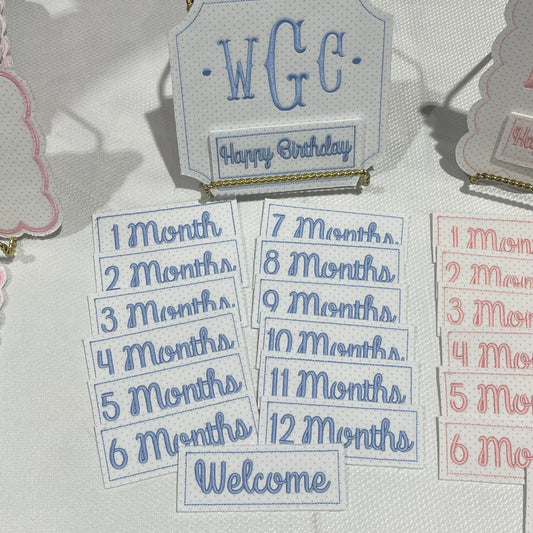 Custom Monthly Milestone Set w/ Bonus Birthday/Welcome Cards in Blue