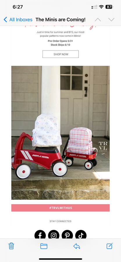 Take Away Lunch Tote - Airplane