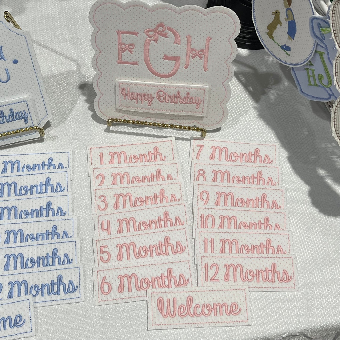Custom Monthly Milestone Set w/ Bonus Birthday/Welcome Cards in Pink